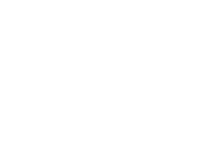 Decorative Wave Background